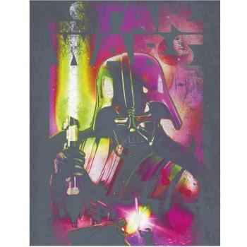 Arte canvas incorniciata Darth Vader 40 cm in rosa/nero