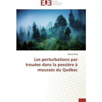 Diop, Assane: Les perturbations par trouées dans la pessière à mousses du Québec