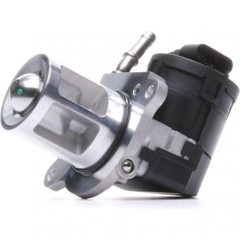 EGR Valve PTA510-0270