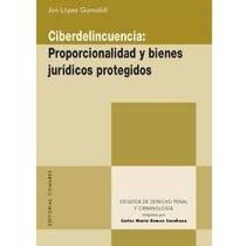 CIBERDELINCUENCIA.