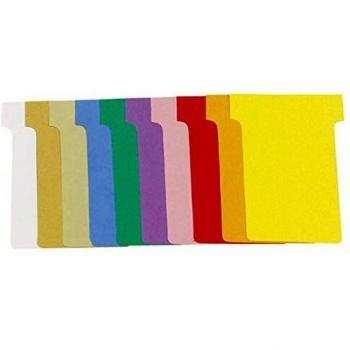 PQT 100 fiches en T n°2 60x85 mm