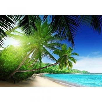 3D Palmen Ozean Fototapete (Vliestapete) – 350x245 cm, Premium Plus