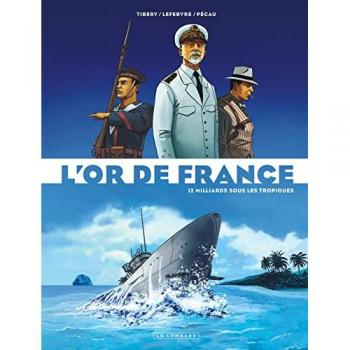 L'or de France, Tome 2 : 12 milliards sous les tropiques