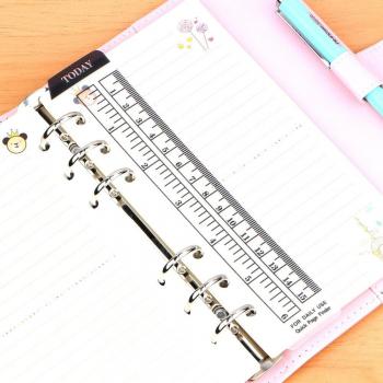 A5/A6 Kawaii Lineal „Heute Herrscher“ – Transparentweiß, 30 cm, Schulbedarf