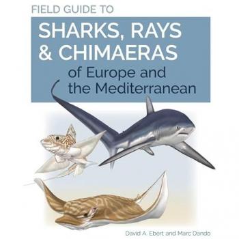 Field Guide to Sharks, Rays & Chimaeras of Europe and the Mediterranean, by David A. Ebert
