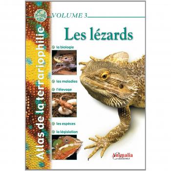 Les lézards