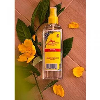 Alvarez Gomez Raumduft Spray 300 ml