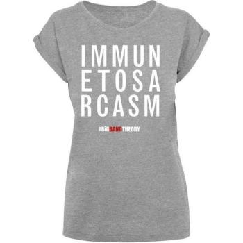 Grau F4NT4STIC T-Shirt Big Bang Theory