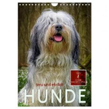Wandkalender 2024 Hunde