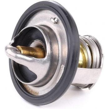 Ridex Thermostat 316T0118 (MX) ATOS Prime
