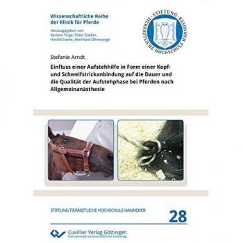 Einfluss einer Aufstehhilfe in Form einer Kopf