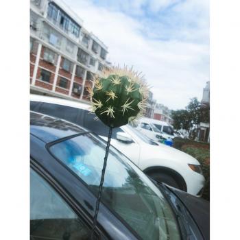 Funny Cactus Aerial Accessory