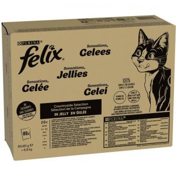 Felix As Good As It Looks Mega-Pack: 80 x 85 g