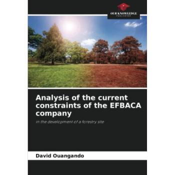 Ouangando, David: Analysis of the current constraints of the EFBACA company