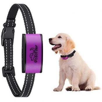 QuietZone Purple – Small/Medium Dog Bark Suppressor