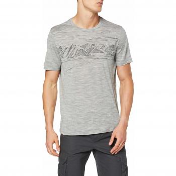 T-Shirt Icebreaker Tech Lite SS Crewe Coronet Peak, Metro HTHR, FR : L