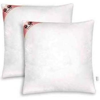 CLICKTIVE 55 x 55cm Cushion Pads