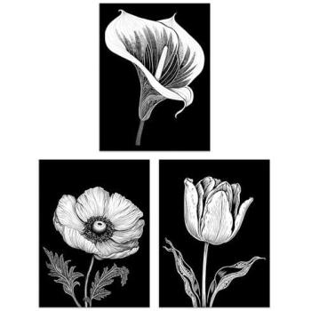 Black‑White Floral Harmony: Tulip, Anemone, Calla Lily Prints