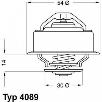 Refrigerante Termostático WAHLER 4089.87D