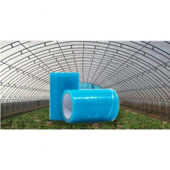Cinta Translucida 60% Cobertura Transparente