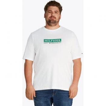 Tommy Hilfiger Big & Tall Casual Tee „Colour to Colour“ – 3XL Herren