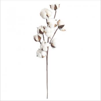 Vase Décoratif avec Coton