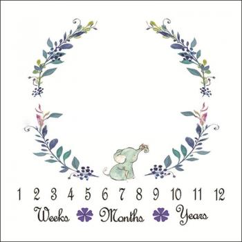 Kids Photo Milestone Blanket