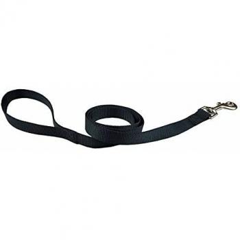 Zwarte Hondenriem van Nylon 120 cm x 15 mm