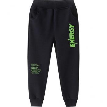 Boys Autumn Sport Pants