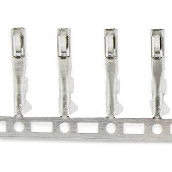 Conector de Pin Hembra 200 Unidades 2,54mm
