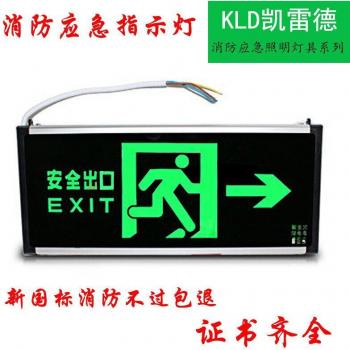 Plug-in Emergency Evacuation LED Lamp