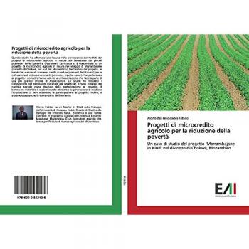 Progetti di microcredito agricolo per la riduzione della povertà: Un caso di studio del progetto Marrambajane in Kind nel distretto di Chókwé, Mozambico
