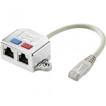 Rete Adattatore RJ45 T CAT 6 [2x Presa