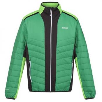 Regatta Halton VII Giacca Padded Verde