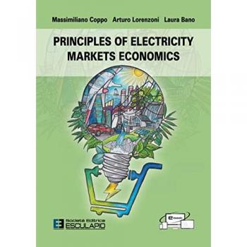 Principles of electricity markets economics