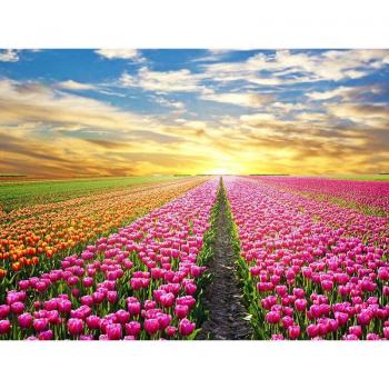 5D Diamond Painting Set