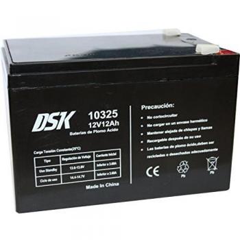 DSK 10325