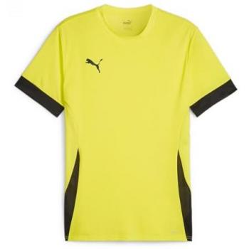 Puma TeamGOAL Matchday Heren Truien