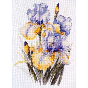 Pacchetto di decorazioni a forma di croce Abris Art Flowers per canvas bianco