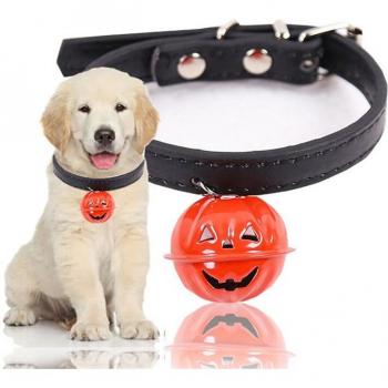 Accesorios de Halloween para Perro Gato