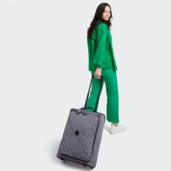 Bagages à main American Tourister MH3*21001 Merveilles aquatiques (édition spéciale)