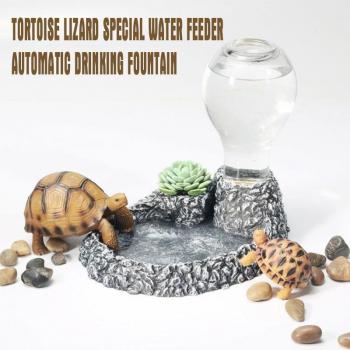 Tortoise Water Feeding Device