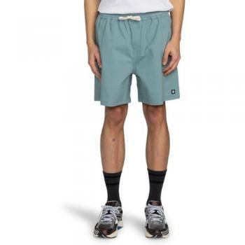 Elemento Pantaloni Corti Chillin Classic Trellis S