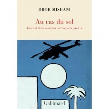 Au ras du sol : journal d'un écrivain en temps de guerre