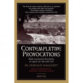 Contemplative Provocations Brief Concentrated Observations on Aspects of Life with God by Donald Haggerty