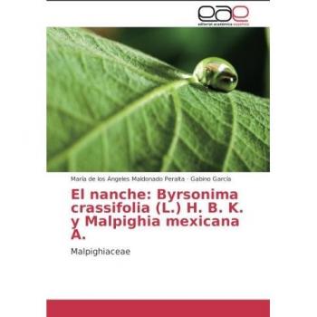 El nanche: Byrsonima crassifolia (L.) H. B. K. y Malpighia mexicana A.: Malpighiaceae