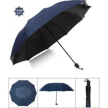 Ten Bone Windproof Umbrella