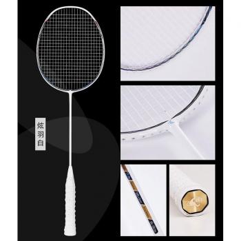 Pro Badminton Carbone 5U 30lb Ensemble