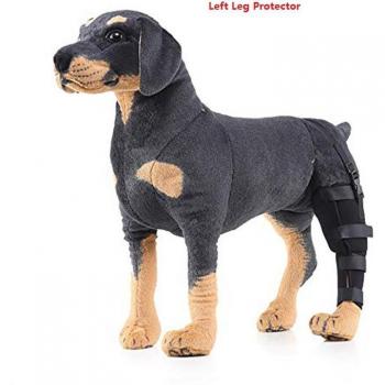Andador Postoperatorio para Perros