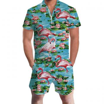 Herren-Overall “Flamingo‑Strand” – 3‑D Jumpsuit mit Reißverschluss, XXL